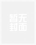 太平长安 - 小说封面